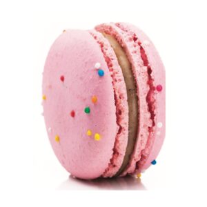 Circus Animal Birthday Cake Macaron