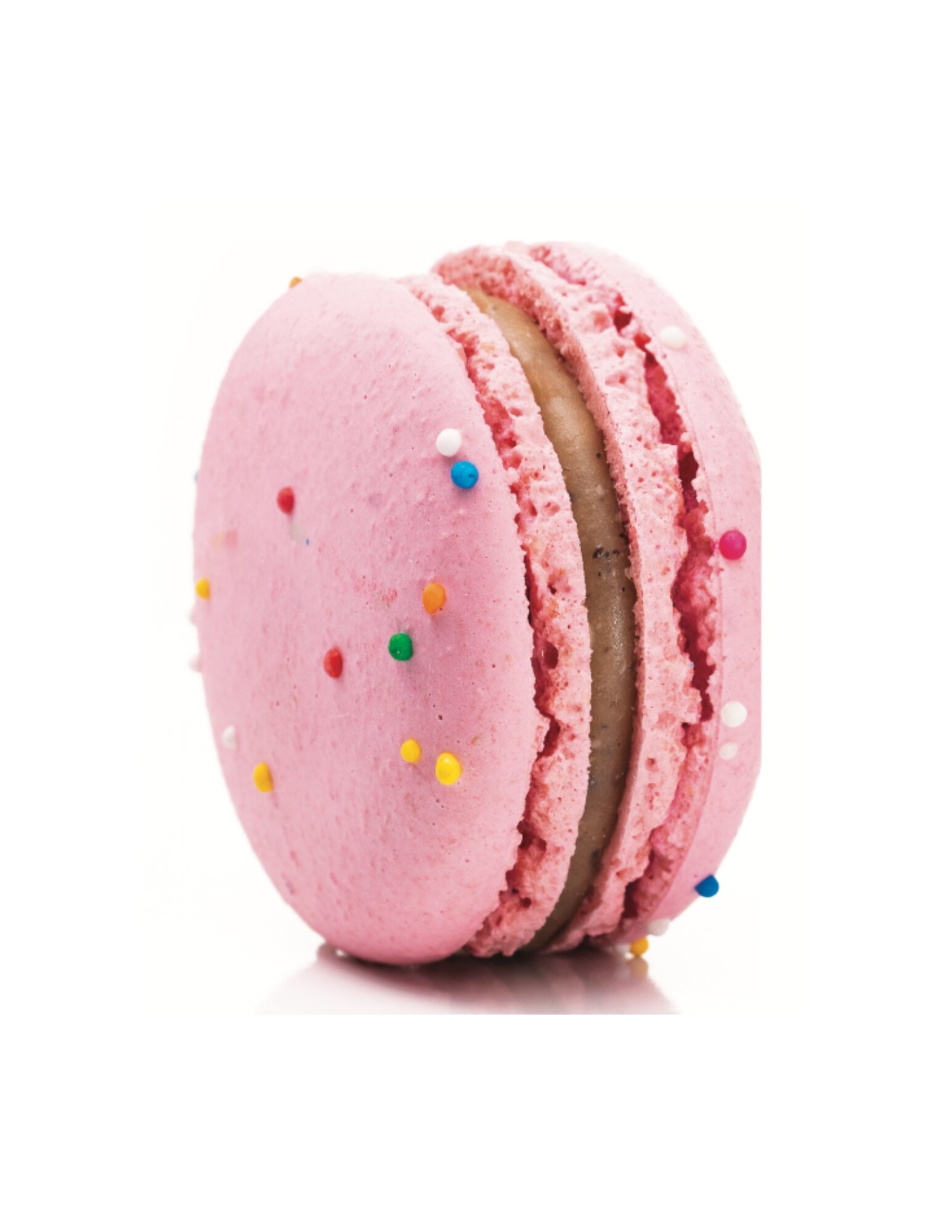 Circus Animal Birthday Cake Macaron
