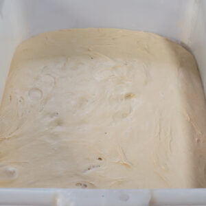 Sourdough Starter